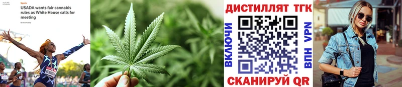 ТГК Wax  KRAKEN как зайти  Берёзовский  сколько стоит 