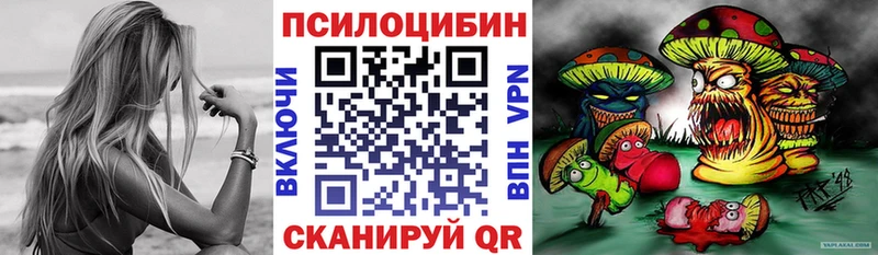 omg зеркало  Берёзовский  Псилоцибиновые грибы Cubensis  сколько стоит 